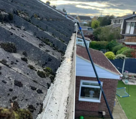 Gutter cleaning