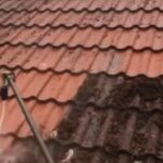roof cleaning
